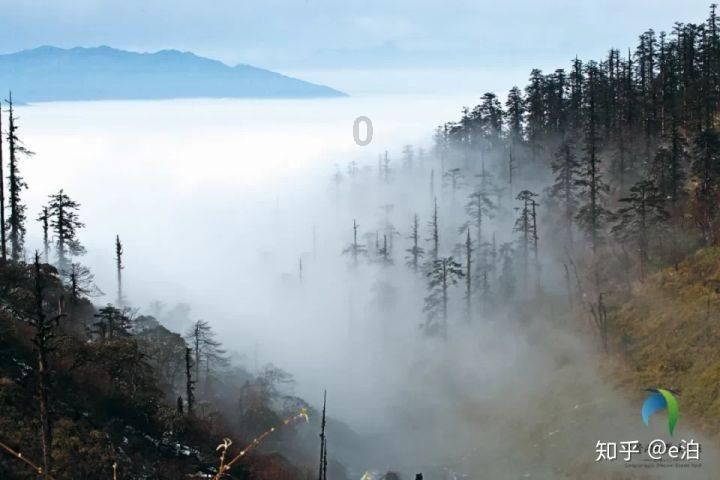 球球大作战下载最新版